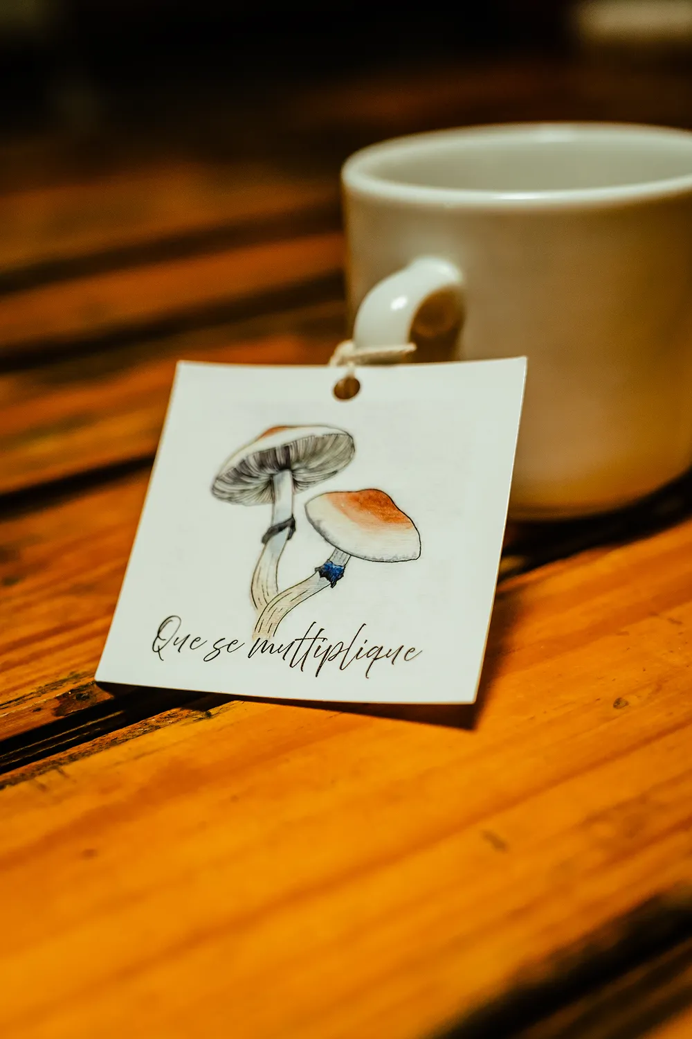 Medicina de la naturaleza