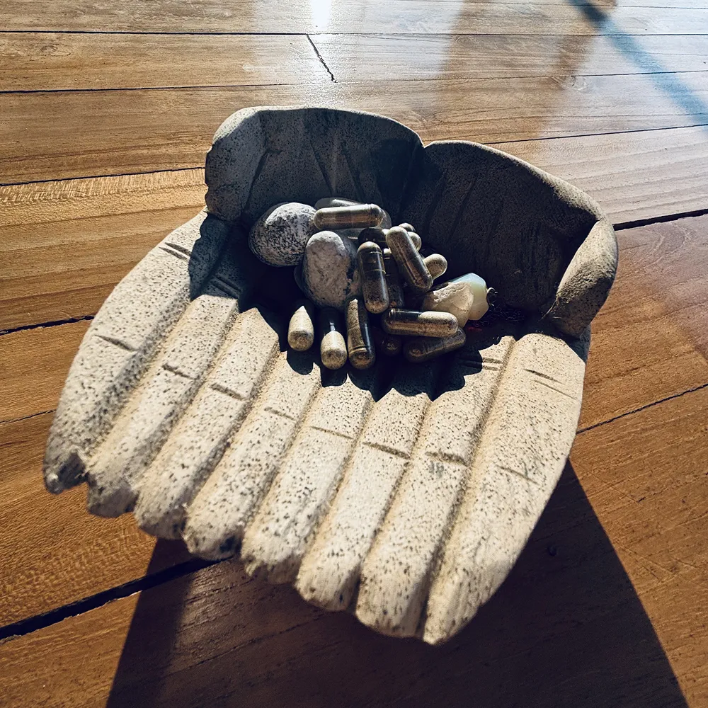 Acompañamiento con Microdosis