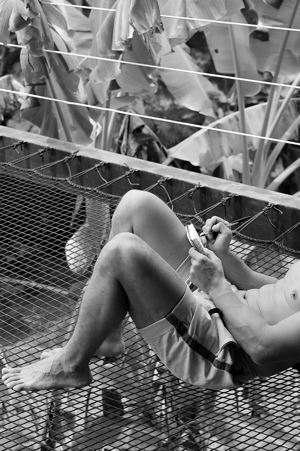 Regulación emocional y seguridad corporal